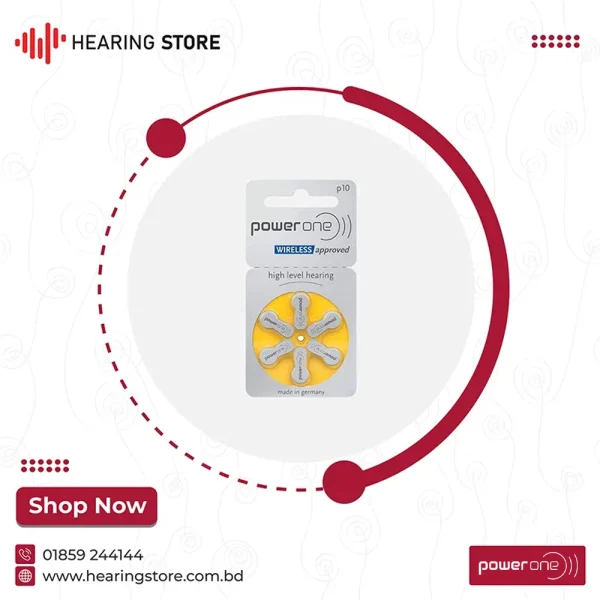 Power One 10 Size Hearing Aid Battery