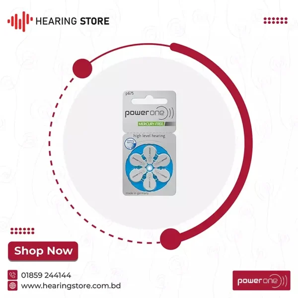 Power One 675 Size Hearing Aid Battery